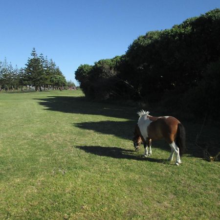 Monday Seaside Cottage Whanganui Extérieur photo